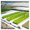 水耕栽培システムの温室